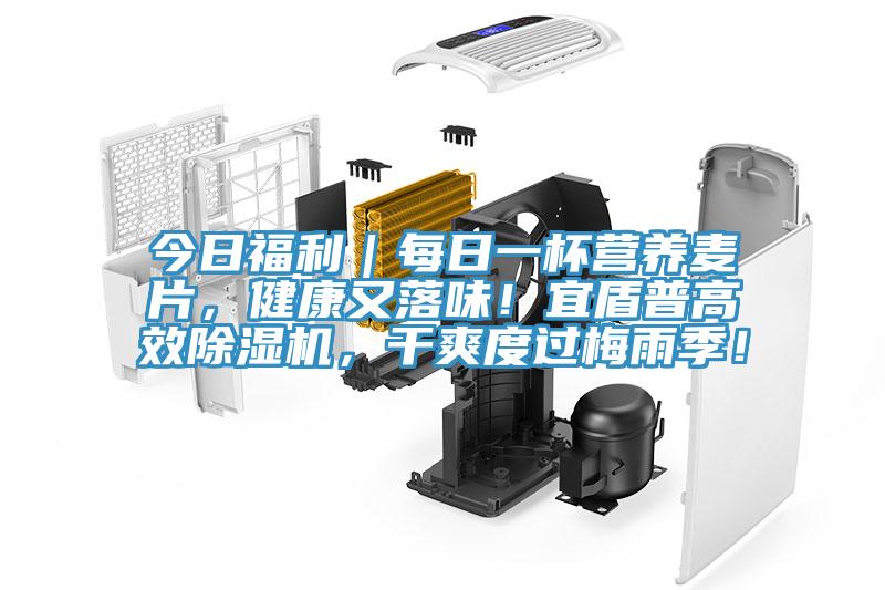 今日福利｜每日一杯營養麥片，健康又落味！宜盾普高效除濕機，干爽度過梅雨季！