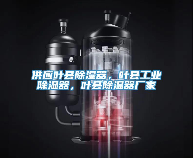 供應(yīng)葉縣除濕器，葉縣工業(yè)除濕器，葉縣除濕器廠家