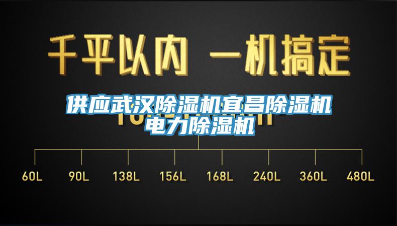供應(yīng)武漢除濕機宜昌除濕機電力除濕機