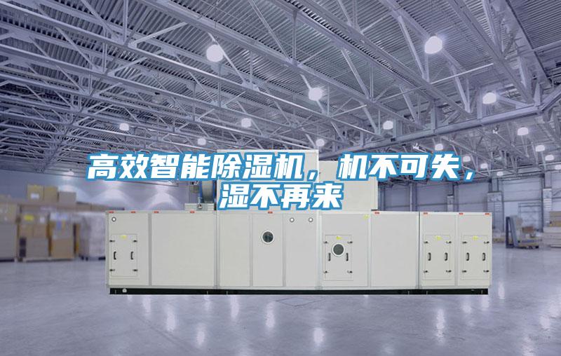 高效智能除濕機，機不可失，濕不再來