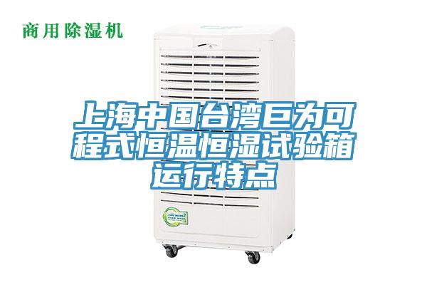 上海中國臺灣巨為可程式恒溫恒濕試驗箱運行特點