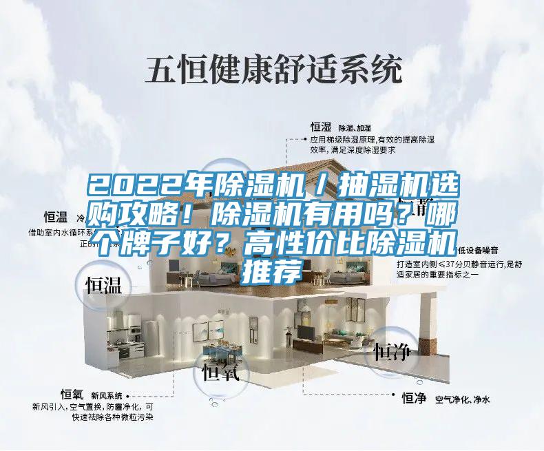 2022年除濕機(jī)／抽濕機(jī)選購(gòu)攻略！除濕機(jī)有用嗎？哪個(gè)牌子好？高性價(jià)比除濕機(jī)推薦