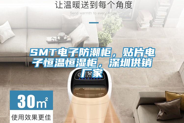 SMT電子防潮柜，貼片電子恒溫恒濕柜，深圳供銷廠家