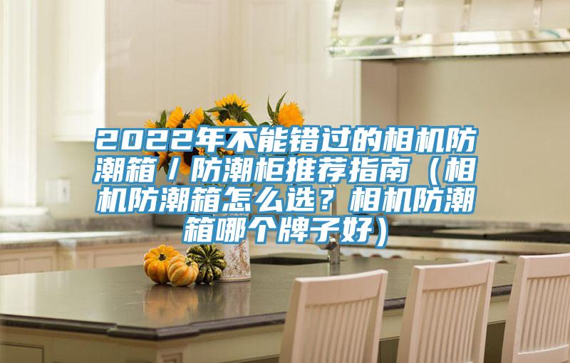 2022年不能錯過的相機防潮箱／防潮柜推薦指南（相機防潮箱怎么選？相機防潮箱哪個牌子好）