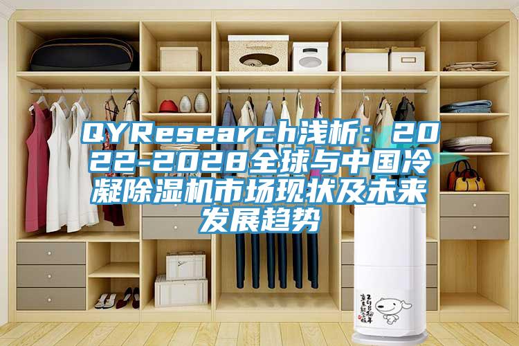 QYResearch淺析：2022-2028全球與中國冷凝除濕機市場現狀及未來發展趨勢