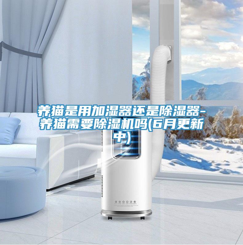 養(yǎng)貓是用加濕器還是除濕器-養(yǎng)貓需要除濕機(jī)嗎(6月更新中)