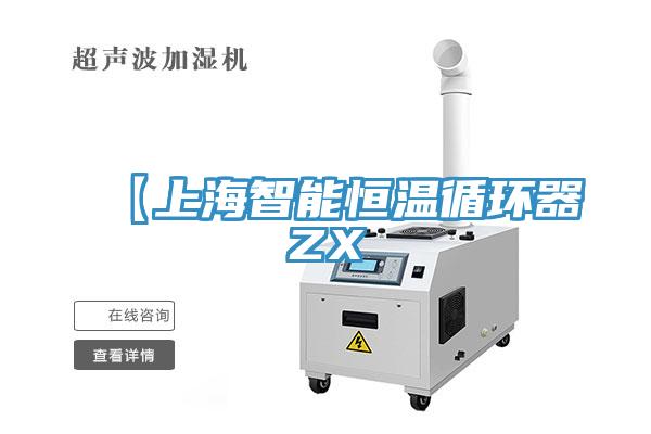 【上海智能恒溫循環器ZX