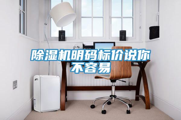 除濕機(jī)明碼標(biāo)價說你不容易