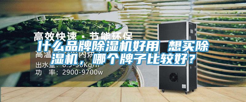 什么品牌除濕機好用 想買除濕機，哪個牌子比較好？