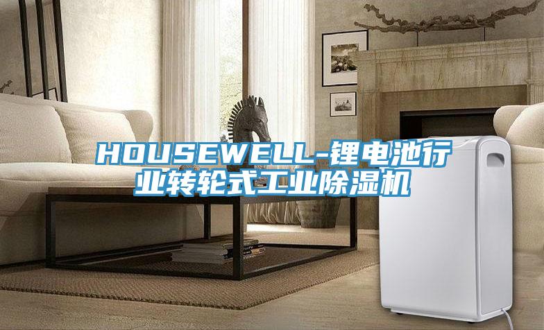 HOUSEWELL-鋰電池行業轉輪式工業除濕機