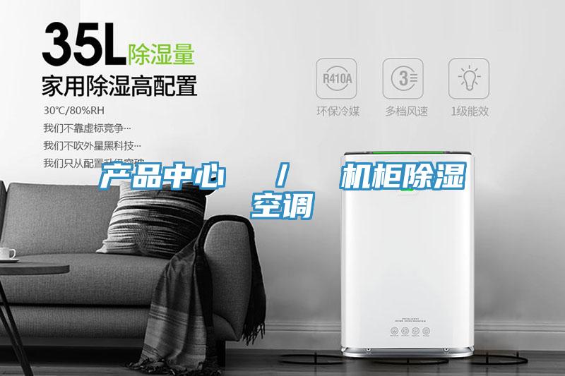 產品中心  ／  機柜除濕空調