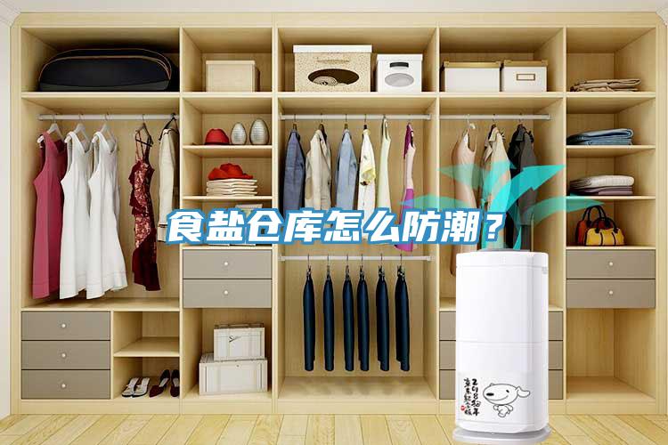 食鹽倉(cāng)庫(kù)怎么防潮?
