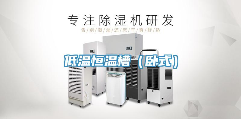 低溫恒溫槽（臥式）