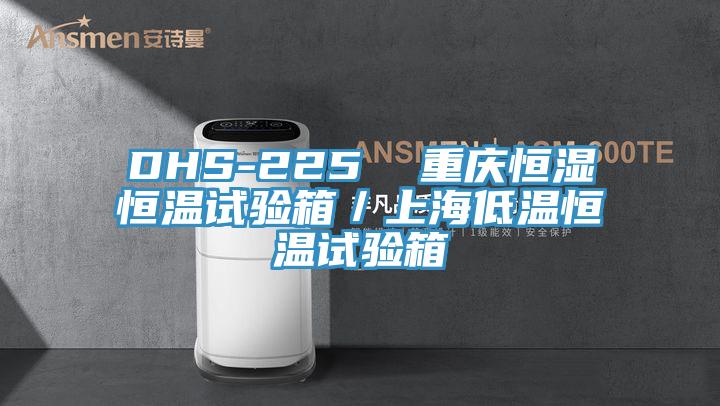 DHS-225 重慶恒濕恒溫試驗(yàn)箱/上海低溫恒溫試驗(yàn)箱