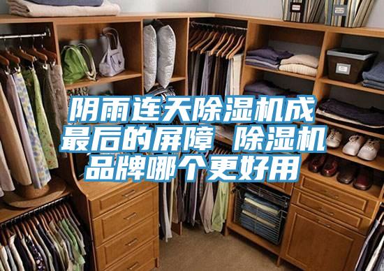 陰雨連天除濕機成最后的屏障 除濕機品牌哪個更好用
