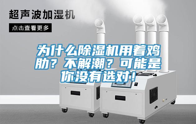 為什么除濕機用著雞肋？不解潮？可能是你沒有選對！