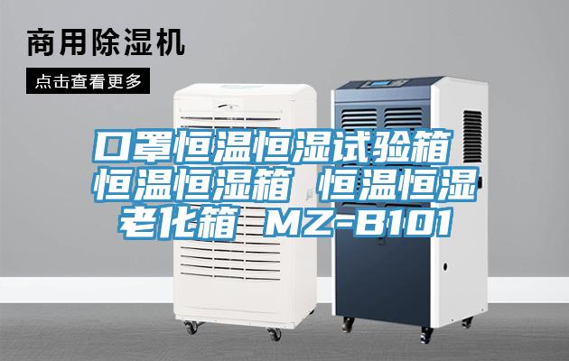 口罩恒溫恒濕試驗(yàn)箱 恒溫恒濕箱 恒溫恒濕老化箱 MZ-B101