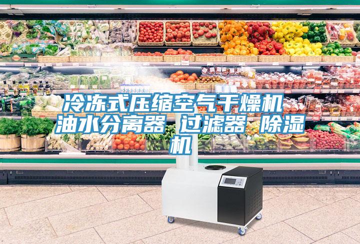 冷凍式壓縮空氣干燥機 油水分離器 過濾器 除濕機