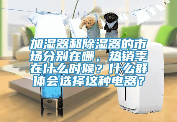 加濕器和除濕器的市場分別在哪，熱銷季在什么時候？什么群體會選擇這種電器？