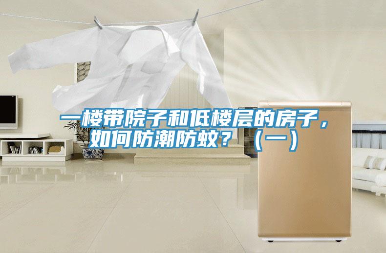 一樓帶院子和低樓層的房子，如何防潮防蚊？（一）