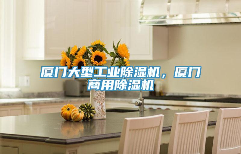 廈門大型工業除濕機,廈門商用除濕機