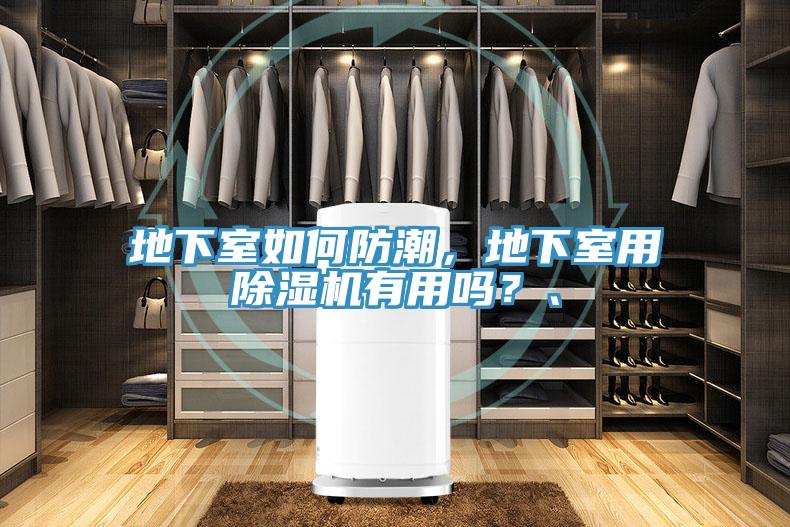 地下室如何防潮，地下室用除濕機有用嗎？、