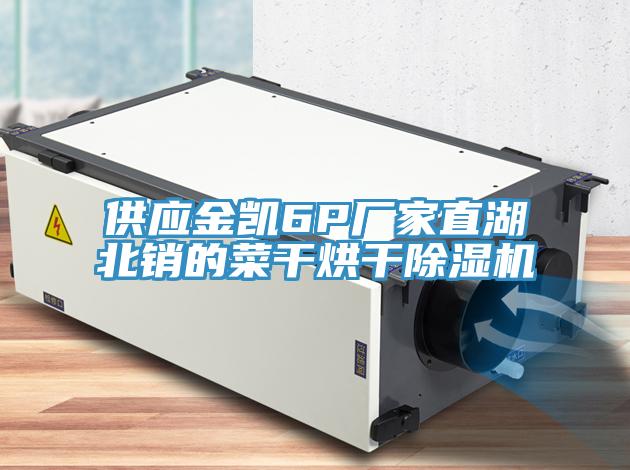 供應金凱6P廠家直湖北銷的菜干烘干除濕機