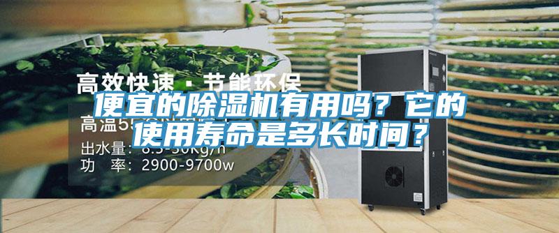 便宜的除濕機有用嗎？它的使用壽命是多長時間？