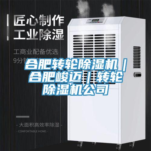 合肥轉輪除濕機|合肥峻邁|轉輪除濕機公司