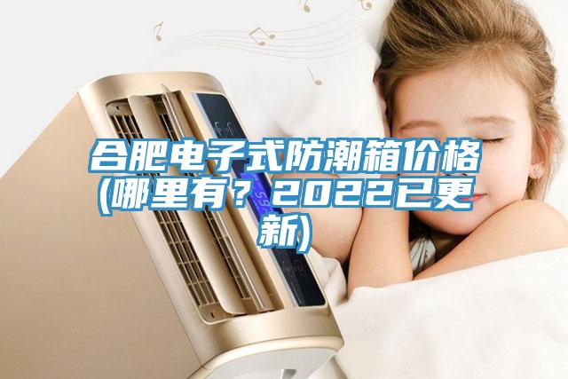 合肥電子式防潮箱價格(哪里有?2022已更新)