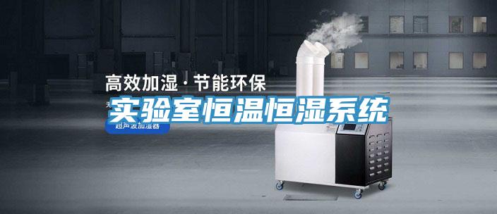 實驗室恒溫恒濕系統