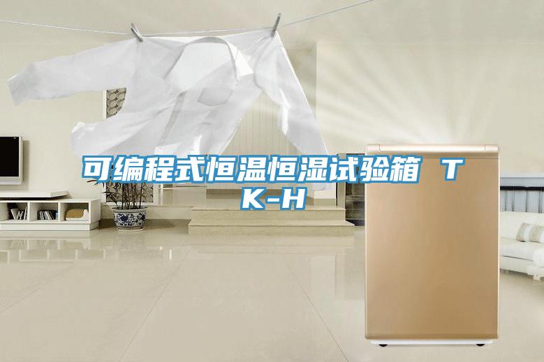 可編程式恒溫恒濕試驗(yàn)箱 TK-H