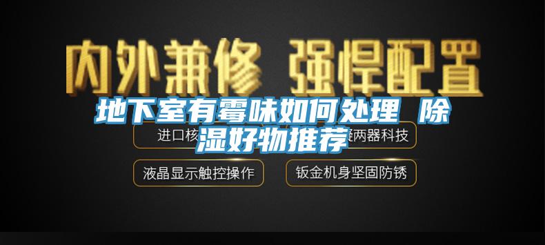 地下室有霉味如何處理 除濕好物推薦