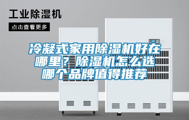 冷凝式家用除濕機好在哪里？除濕機怎么選哪個品牌值得推薦