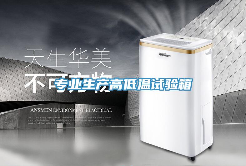 專業生產高低溫試驗箱