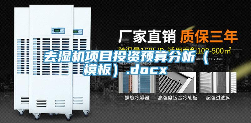 去濕機項目投資預算分析（模板）.docx