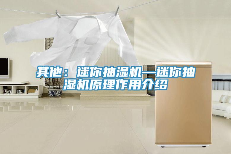 其他：迷你抽濕機—迷你抽濕機原理作用介紹