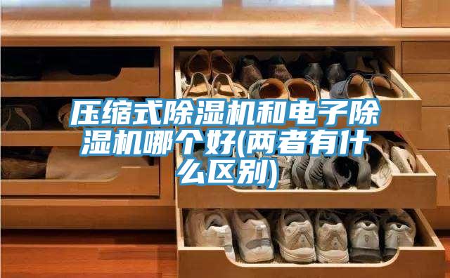 壓縮式除濕機和電子除濕機哪個好(兩者有什么區別)