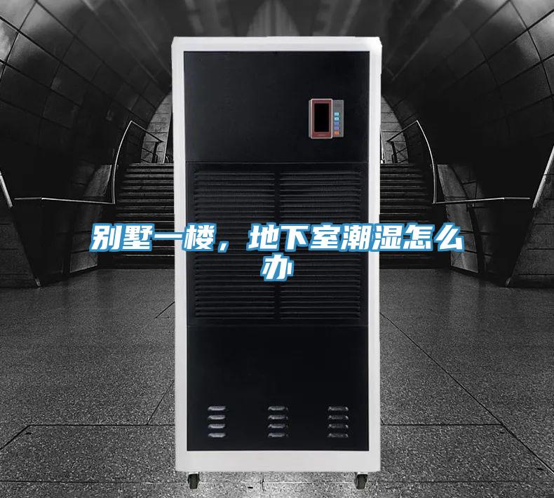 別墅一樓，地下室潮濕怎么辦