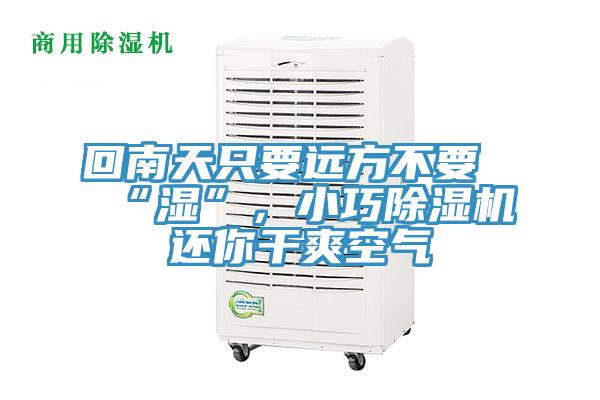 回南天只要遠方不要“濕”，小巧除濕機還你干爽空氣