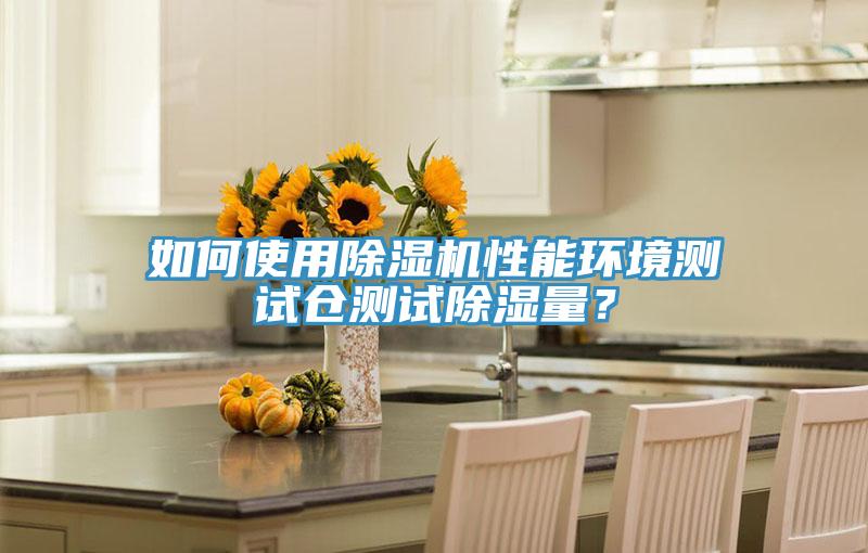 如何使用除濕機性能環境測試倉測試除濕量？