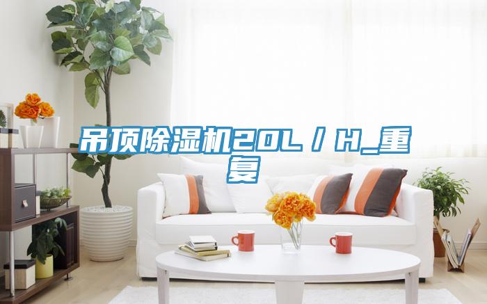 吊頂除濕機20L／H_重復