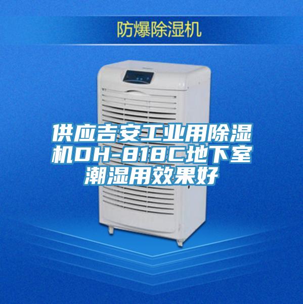 供應吉安工業用除濕機DH-818C地下室潮濕用效果好