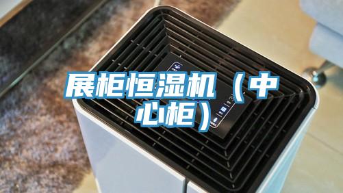 展柜恒濕機（中心柜）