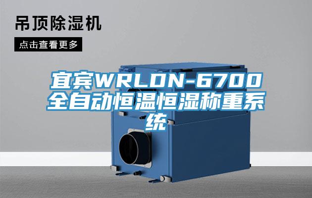 宜賓WRLDN-6700全自動恒溫恒濕稱重系統