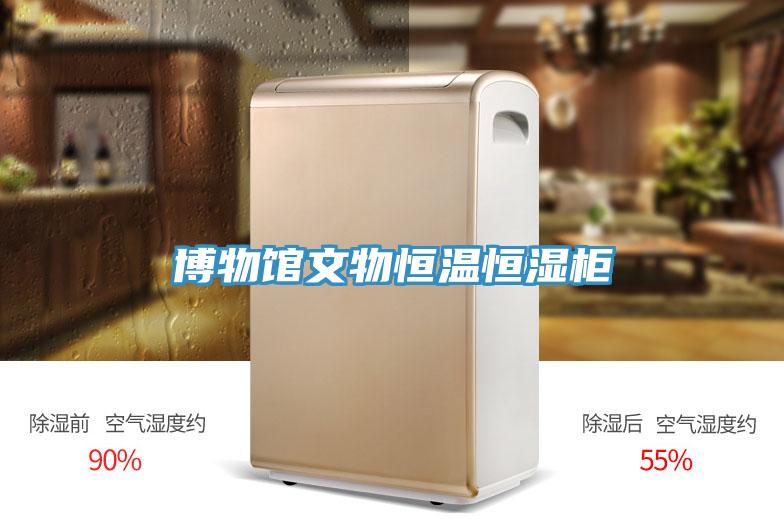 博物館文物恒溫恒濕柜