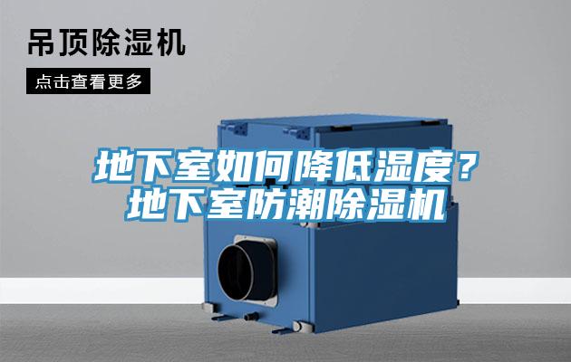 地下室如何降低濕度？地下室防潮除濕機