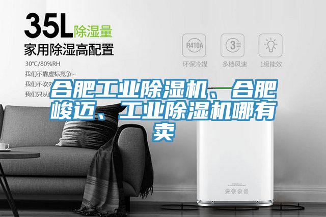 合肥工業除濕機、合肥峻邁、工業除濕機哪有賣