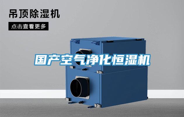 國產空氣凈化恒濕機