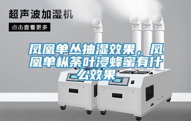 鳳凰單叢抽濕效果，鳳凰單樅荼葉浸蜂蜜有什么效果